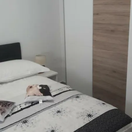 Gæstehus Stars Palace - And 3*