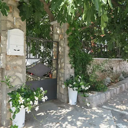 Stars Palace - And בית הארחה 3*