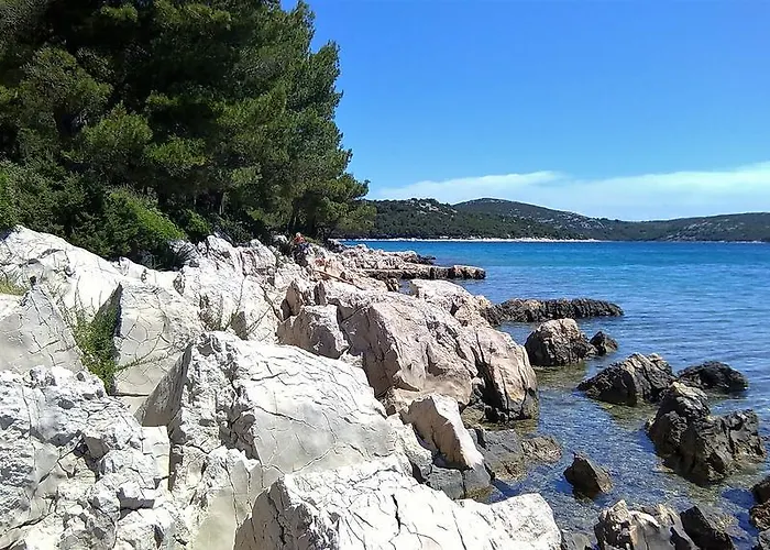 Stars Palace - And 제제라