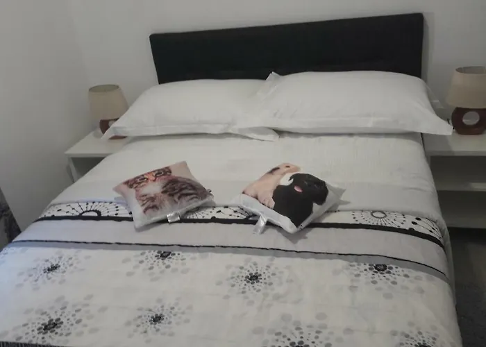 Stars Palace - And Gasthuis 3*