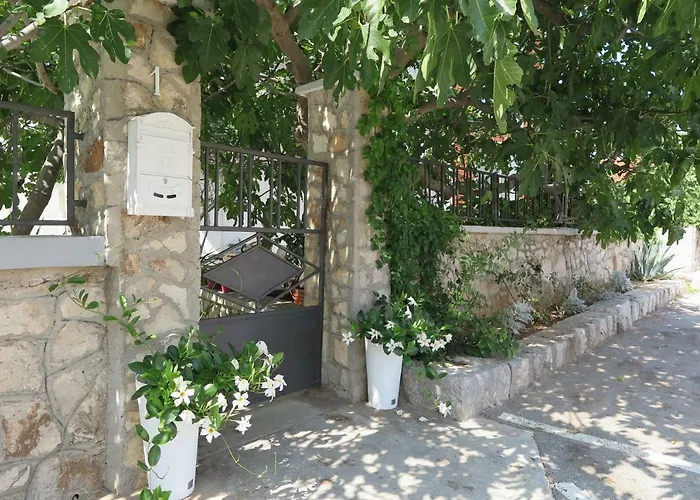 Stars Palace - And בית הארחה 3*