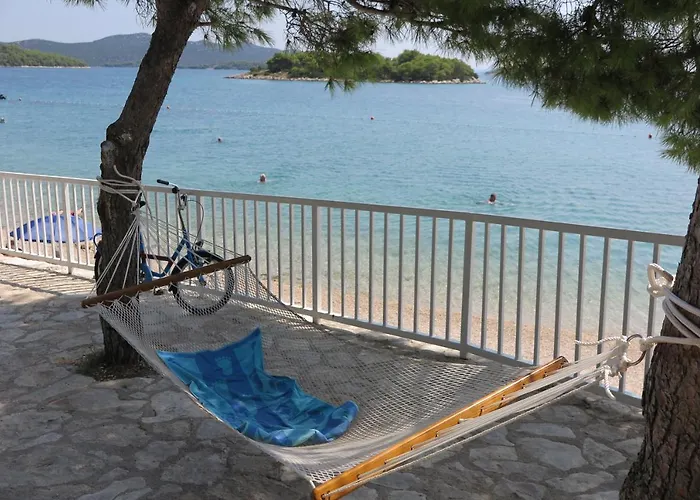 Gasthuis Stars Palace - And