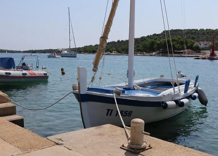 Stars Palace - And 게스트하우스 제제라